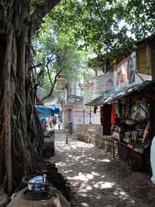 Mumbai 1 122 (Medium)