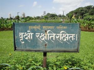 Mumbai 1 133 (Medium)