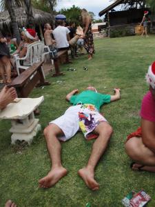 Berri Christmas 158 (Large)