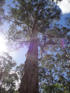 Melbourne Road Trip 2 041 (Large)